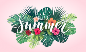vishopmag-revista-escaparates-escaparatismo-visualmerchandising-hello-summer-001
