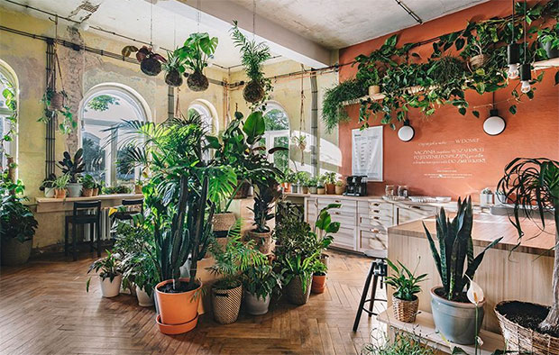 vishopmag-revista-magazine-escaparatismo-visualmerchandising-plantas-The-Home-of-Tomorrow-IKEA-5