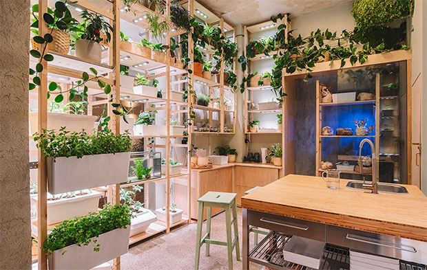 vishopmag-revista-magazine-escaparatismo-visualmerchandising-plantas-The-Home-of-Tomorrow-IKEA-8